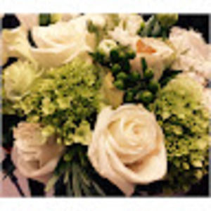 Meet your Posher, Yu-ling